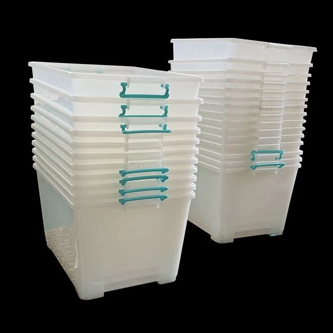 Food Container Tools Box Injection Mould